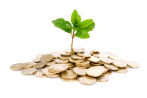 Coins and plant, isolated on white background Growing business