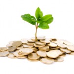 Coins and plant, isolated on white background Growing Money