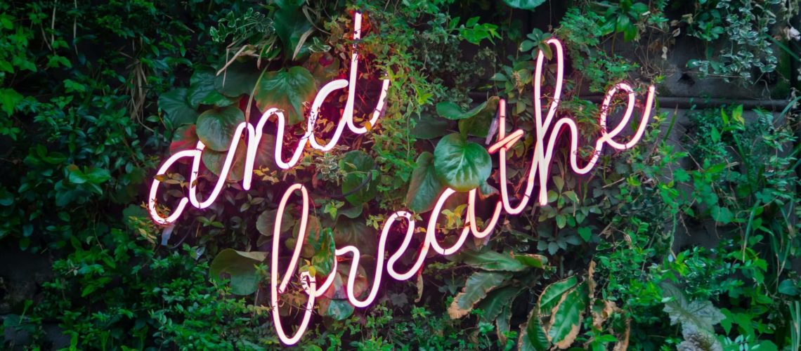 max-van-den-oetelaar-buymYm3RQ3U-unsplash